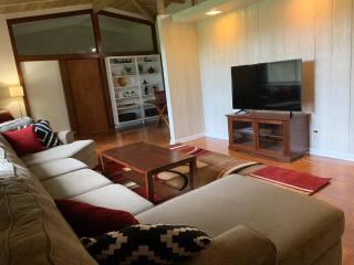 Mid-century Home 2 miles to UF, Downtown, and Shands Plus Walk to Coffee Culture, Planet Fitness and Alfred A Ring Park - Gainesville - 5