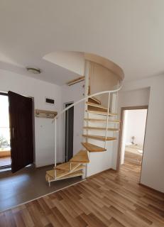 Vanilla Garden Apartments - 1