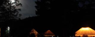 Glamping at Zeehan Bush Camp - Zeehan - 1