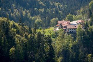 Hotel-Gasthof Mauthäusl - Weißbach - 3