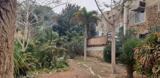 Naama rooms for rent - Neve Zohar - 3