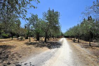 SA ROTA Finca en Bunyola 8 personas- Muy tranquilo - Bunyola - 1