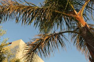 United blue Resorts - Blue view - 3