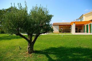 Charming villa Anita with private pool near Pula - WiiBuk - Hrboki - 6