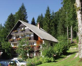 Accommodation Destina, LAKE BOHINJ - Bohinj - 0