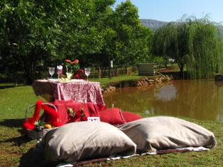 Millstream Inn guest house - Skeerpoort - 3