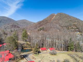 The Barn Owl - Maggie Valley - 2