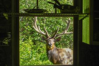 Stone Lagoon Cabin - Orick - 9