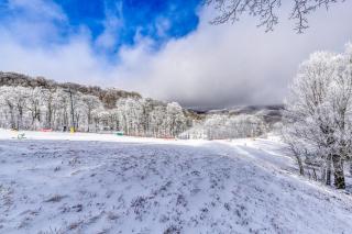 Bee Branch 14 - Sugar Mountain - 7