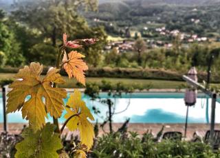 Agriturismo Braccicorti - 4