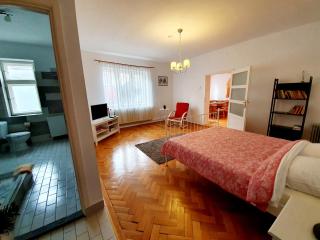 Luk Old Town Apartment - Sibiu - 9