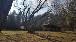 Apartament Świętoszów - 4