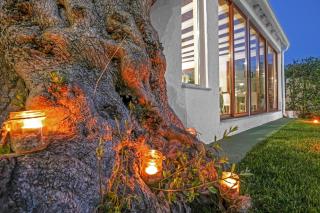 Residence Contrada Schite - Presicce - 1