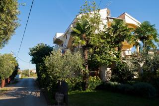 Apartments Marija - Sukošan - 9