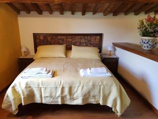Podere Piandicava - Castelnuovo di Val di Cecina - 1