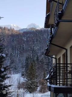 APARTAMENT CIEŃ GIEWONTU - Zakopane - 9