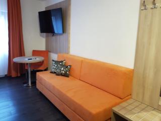 Hotel Milin - Reichenbach im Vogtland - 9