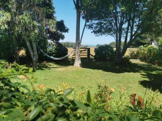 Tui Lodge - Coromandel Town - 8