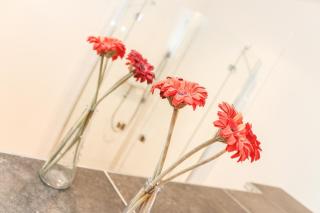 Logierhaus-Greetsiel S - 1