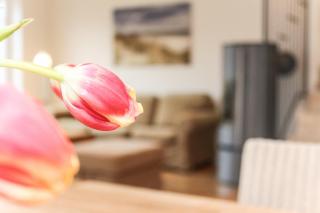 Logierhaus-Greetsiel 1 - 3