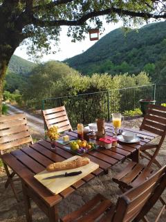 Chambre Cévennes: Piscine, lamas, rivière - Cros - 7