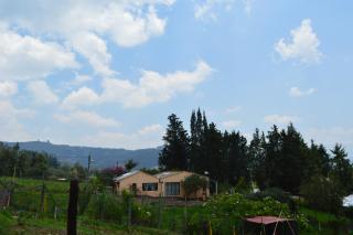 La Nueva Granja Hospedaje Rural - Tibasosa - 5