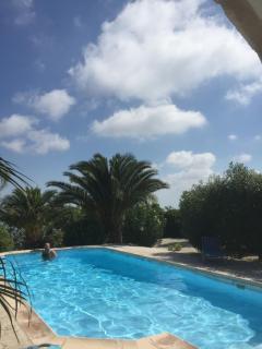 Drouseia Villa - Dhrousha - 5