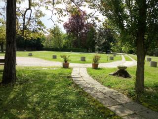 Villa Olanda - Mira - 8