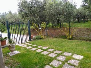 Casa Vacanze Le Rose - Ariccia - 6