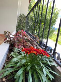 Like Home - 6