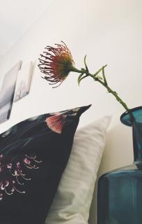 Nepean Shores by Gateway Lifestyle Holiday Parks - Penrith - 6