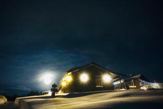 Wild Caribou's Wildwood Cabin - Lakselv - 5