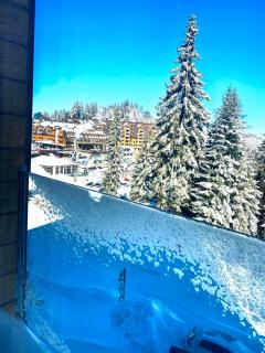 Alpin Apartments Jahorina - Jahorina - 8