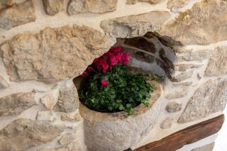 Villa Elm - Krk (Veglia) - 4