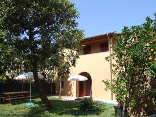 Casa Daria, Armonia del Passato nel rispetto della natura - Donoratico - 0