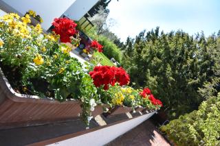 Ferienwohnungen Kurhotel Eichinger - Bad Wörishofen - 6