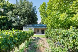 La Chataigne Wines & Guest Cottages - Franschhoek - 1