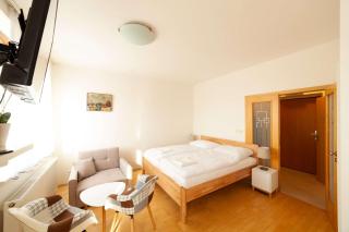 Vitkov Park Apartment - Prague - 0
