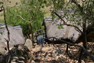 Tshukudu Bush Lodge - Ledig - 7