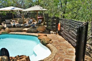 Tshukudu Bush Lodge - Ledig - 3