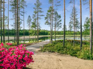 Holiday Home Kielo by Interhome - Pertunmaa - 6