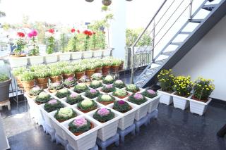 joerose villa - Noida - 5