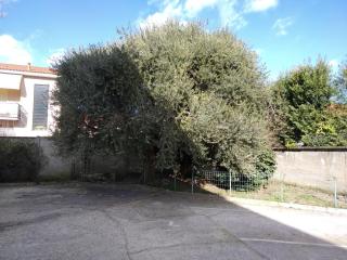 appartamenti olivo - Vigevano - 5