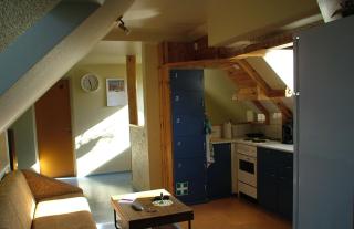 Pohlametsa Holiday House - Nüpli - 7