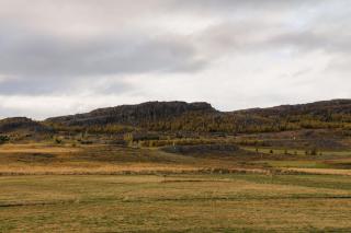 Skipalaekur Farm Apartments - Egilsstadir - 8