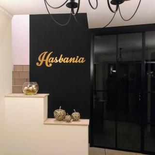 Hasbania Vakantiewoning - Gingelom - 0