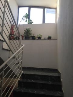 Kraljevski apartman - Kraljevo - 4