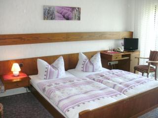 Hotel Tannenhof - Erlenbach am Main - 2