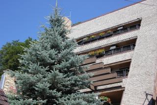 Casa Freya - Buşteni - 3