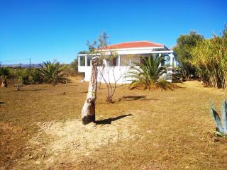 Alekos Beach Houses-Caretta - Xi - 9